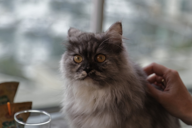 Famille et amis-NOV14-028